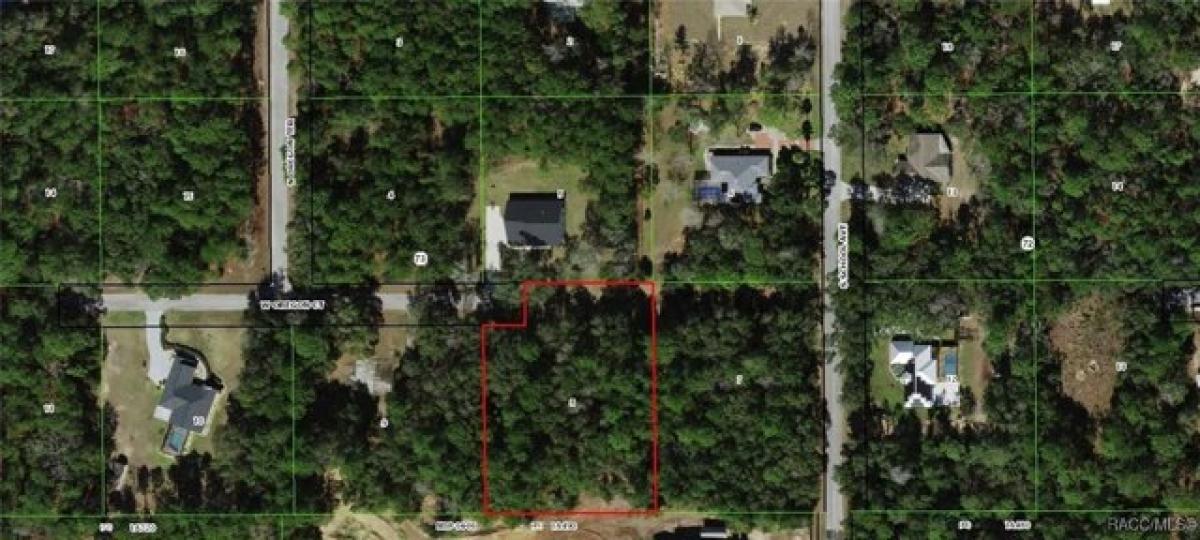 Picture of Residential Land For Sale in Hernando, Florida, United States