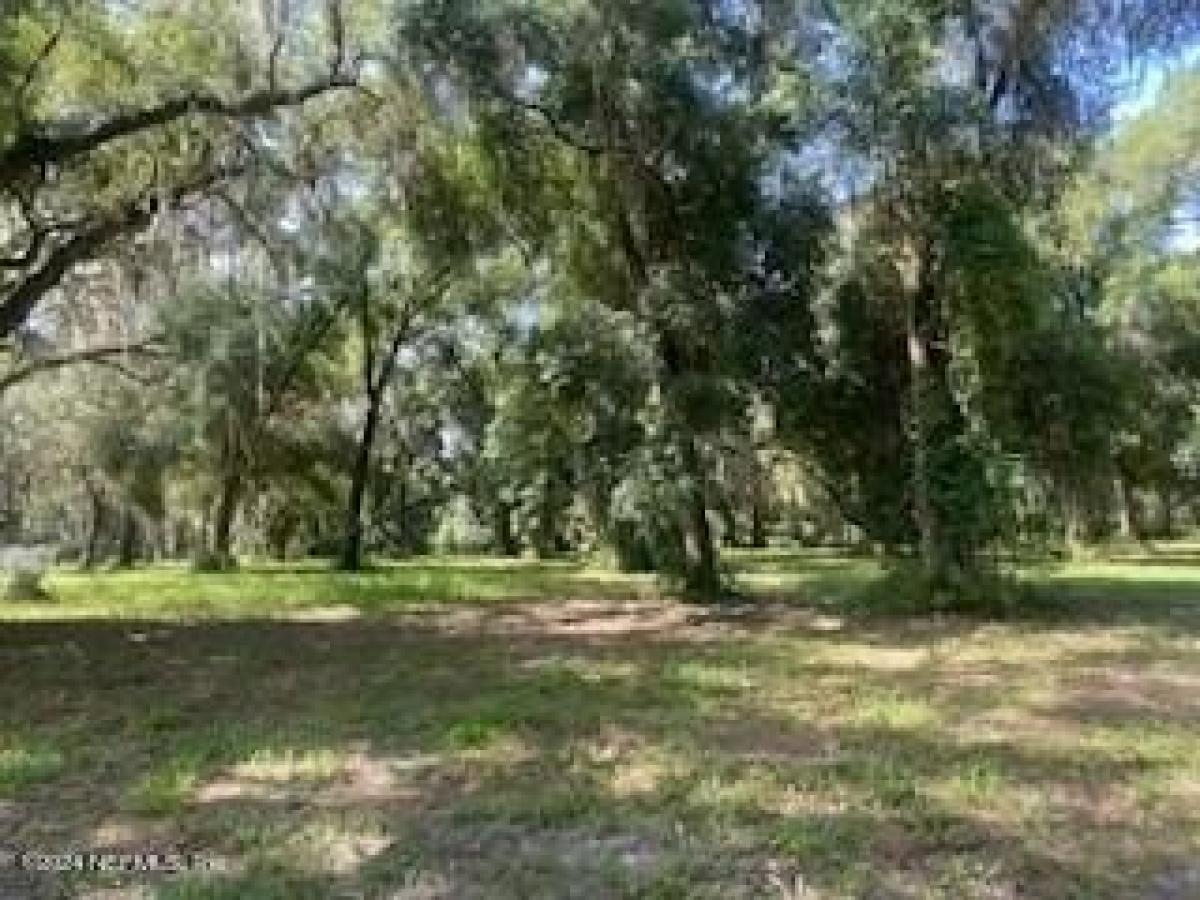 Picture of Residential Land For Sale in Welaka, Florida, United States