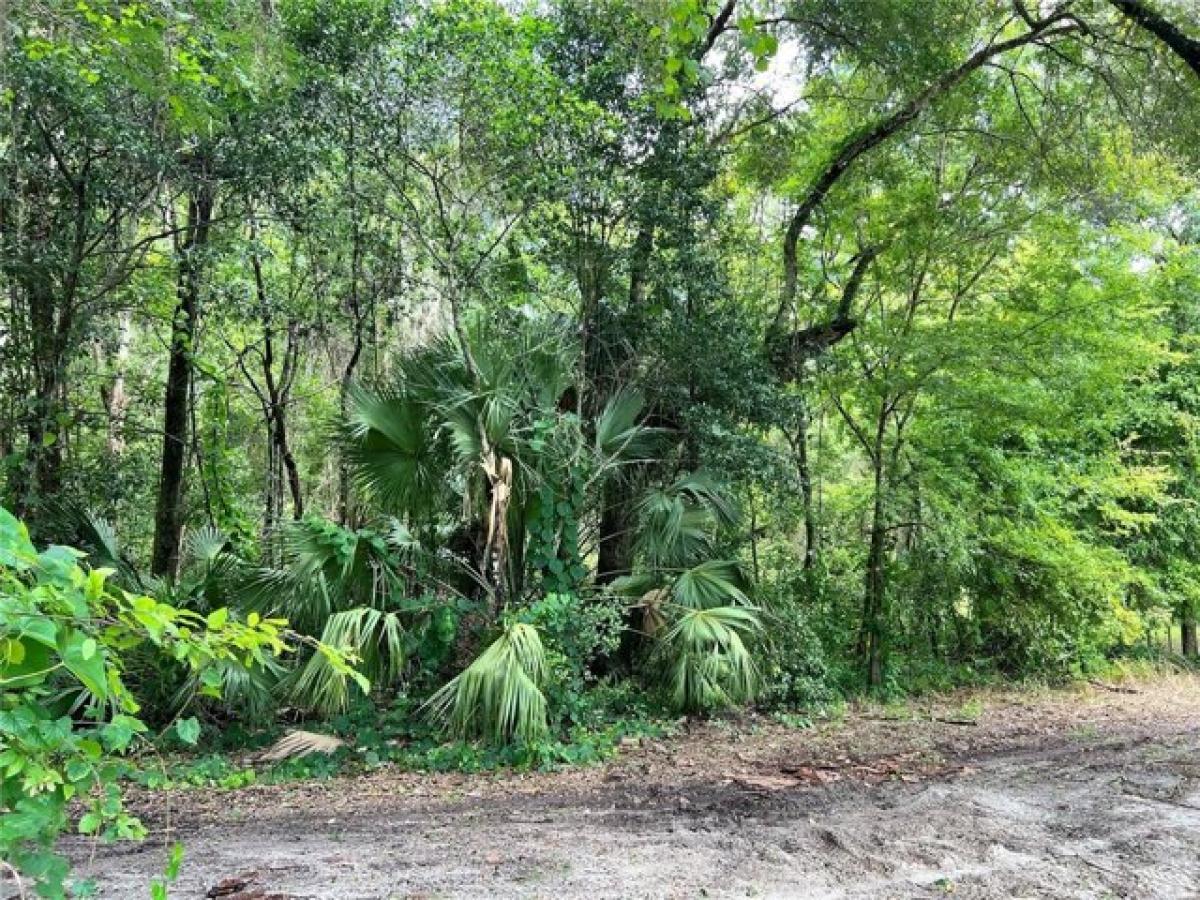 Picture of Residential Land For Sale in Gainesville, Florida, United States