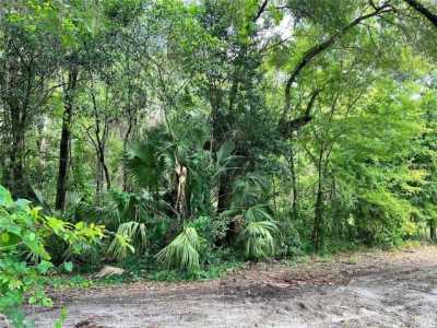 Residential Land For Sale in Gainesville, Florida