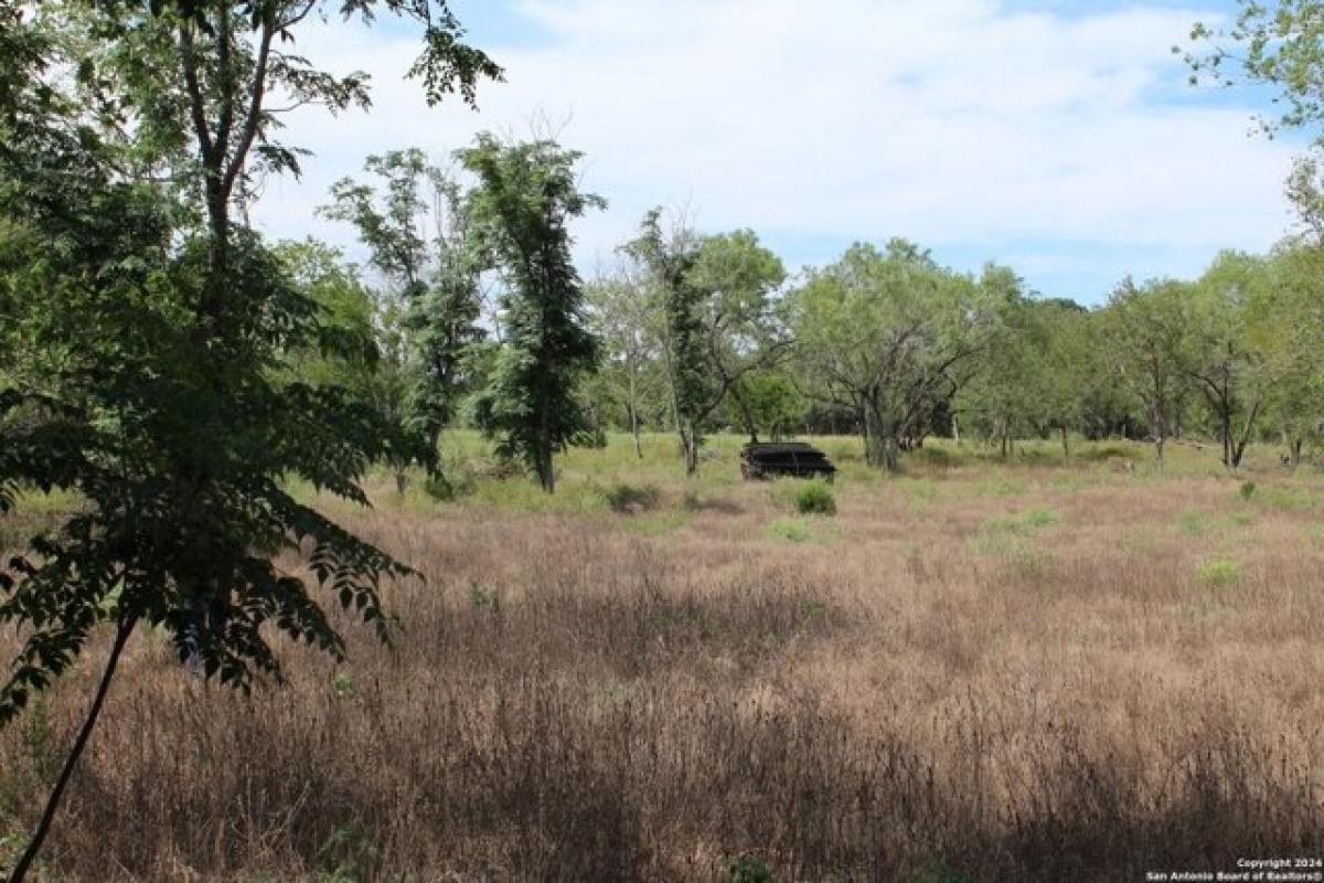 Picture of Residential Land For Sale in Atascosa, Texas, United States