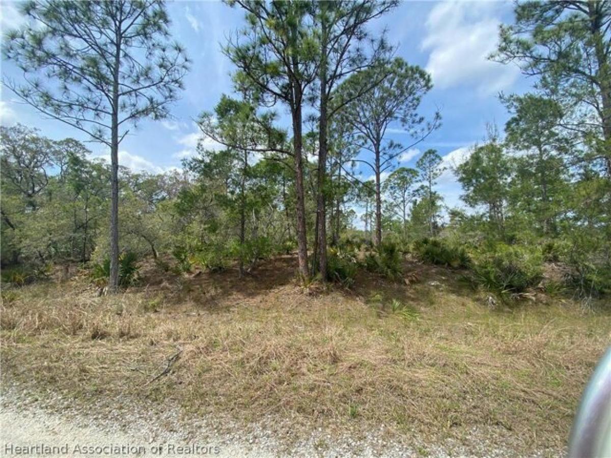 Picture of Residential Land For Rent in Lake Placid, Florida, United States