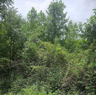 Residential Land For Sale in Crewe, Virginia