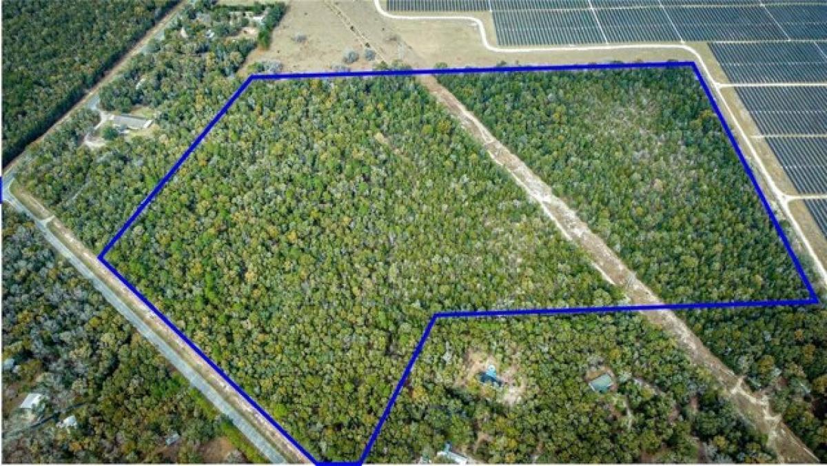 Picture of Residential Land For Sale in Fort White, Florida, United States