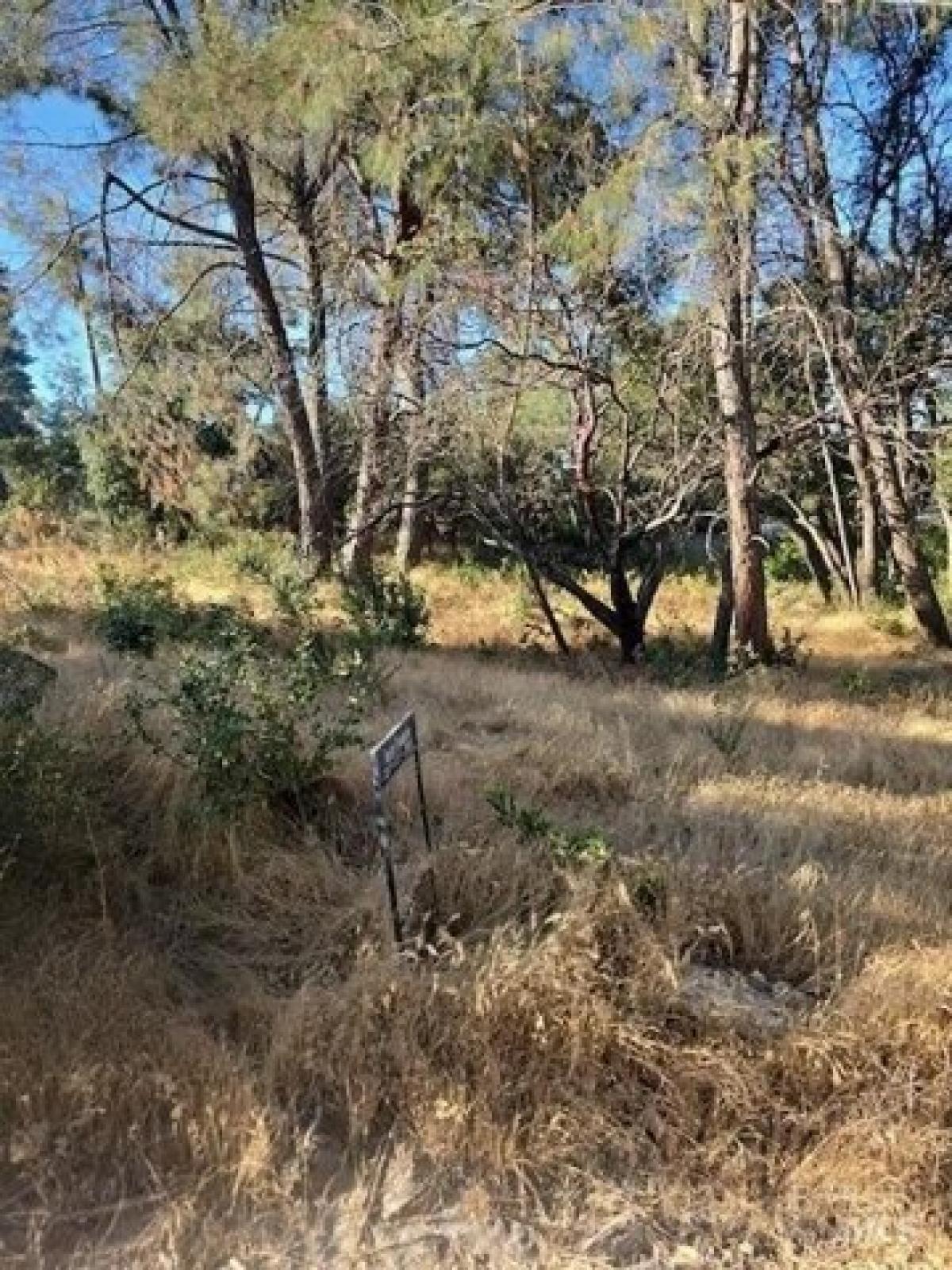 Picture of Residential Land For Sale in Clearlake, California, United States