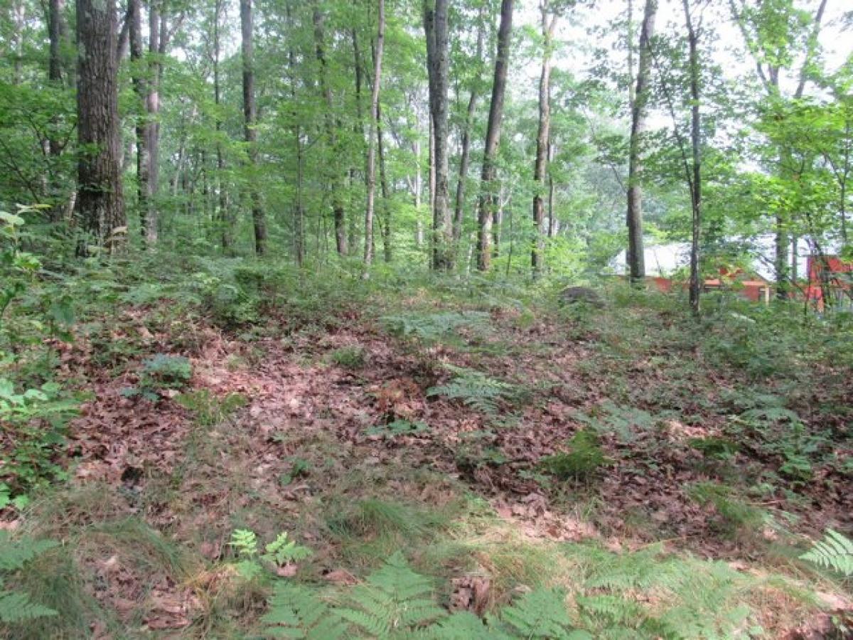 Picture of Residential Land For Sale in Roscommon, Michigan, United States