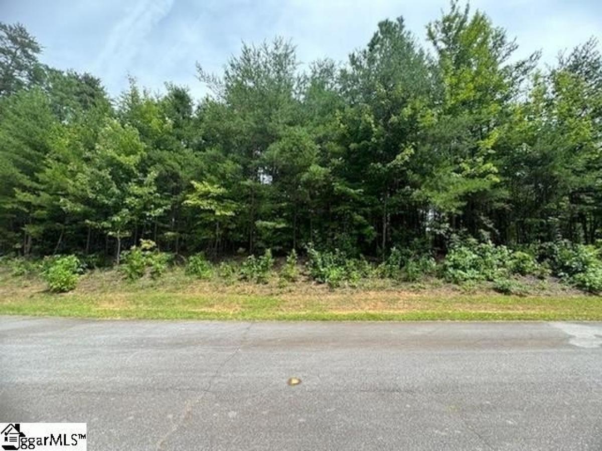 Picture of Residential Land For Sale in Salem, South Carolina, United States