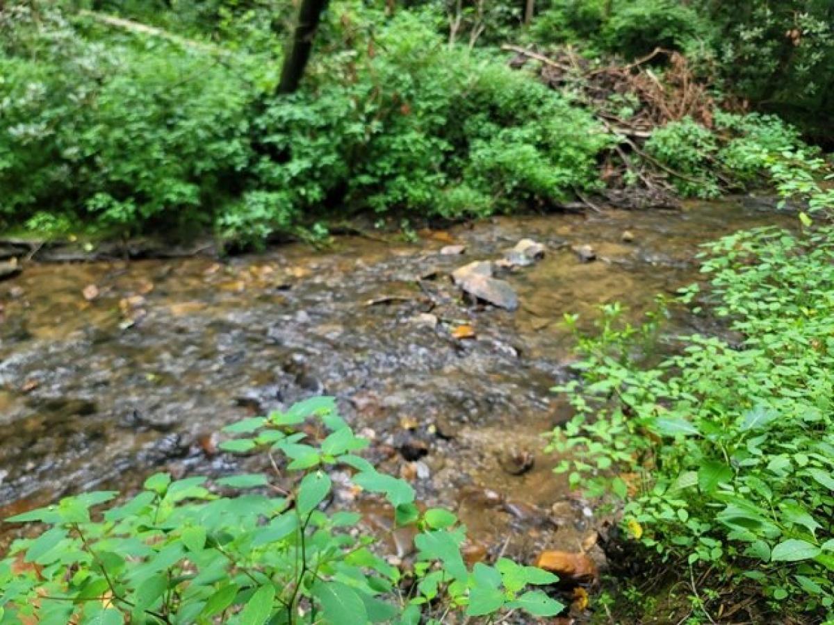 Picture of Residential Land For Sale in Andrews, North Carolina, United States