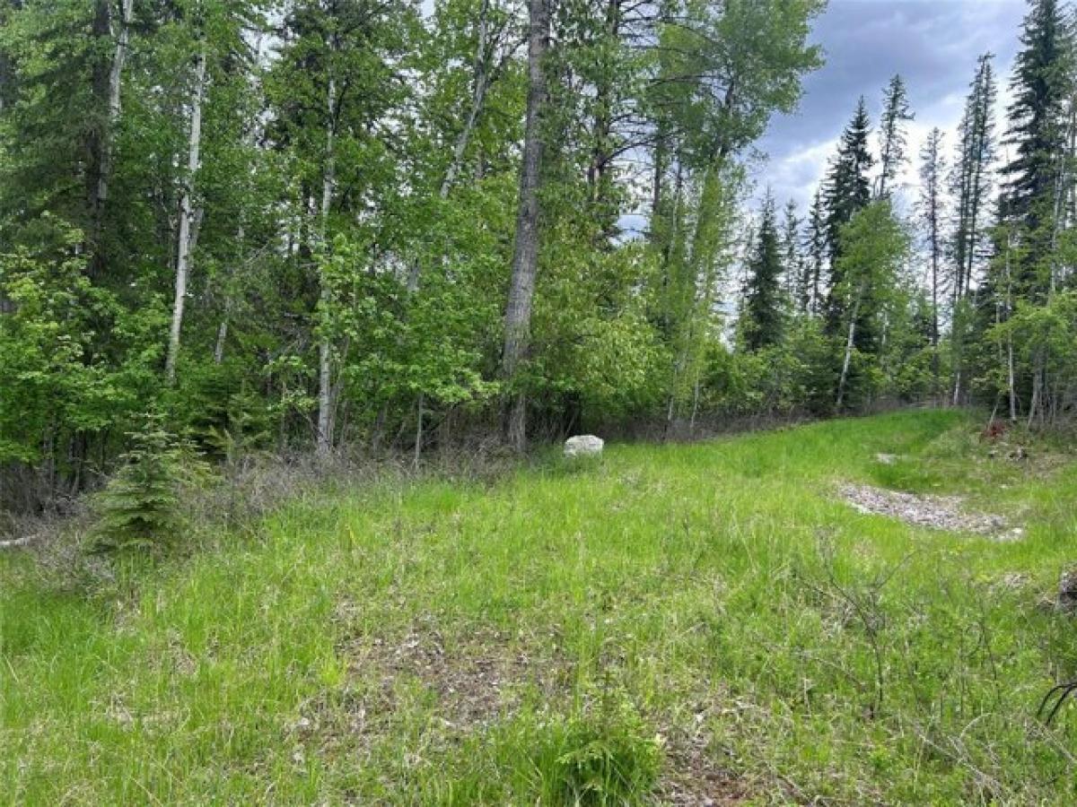 Picture of Residential Land For Sale in Whitefish, Montana, United States