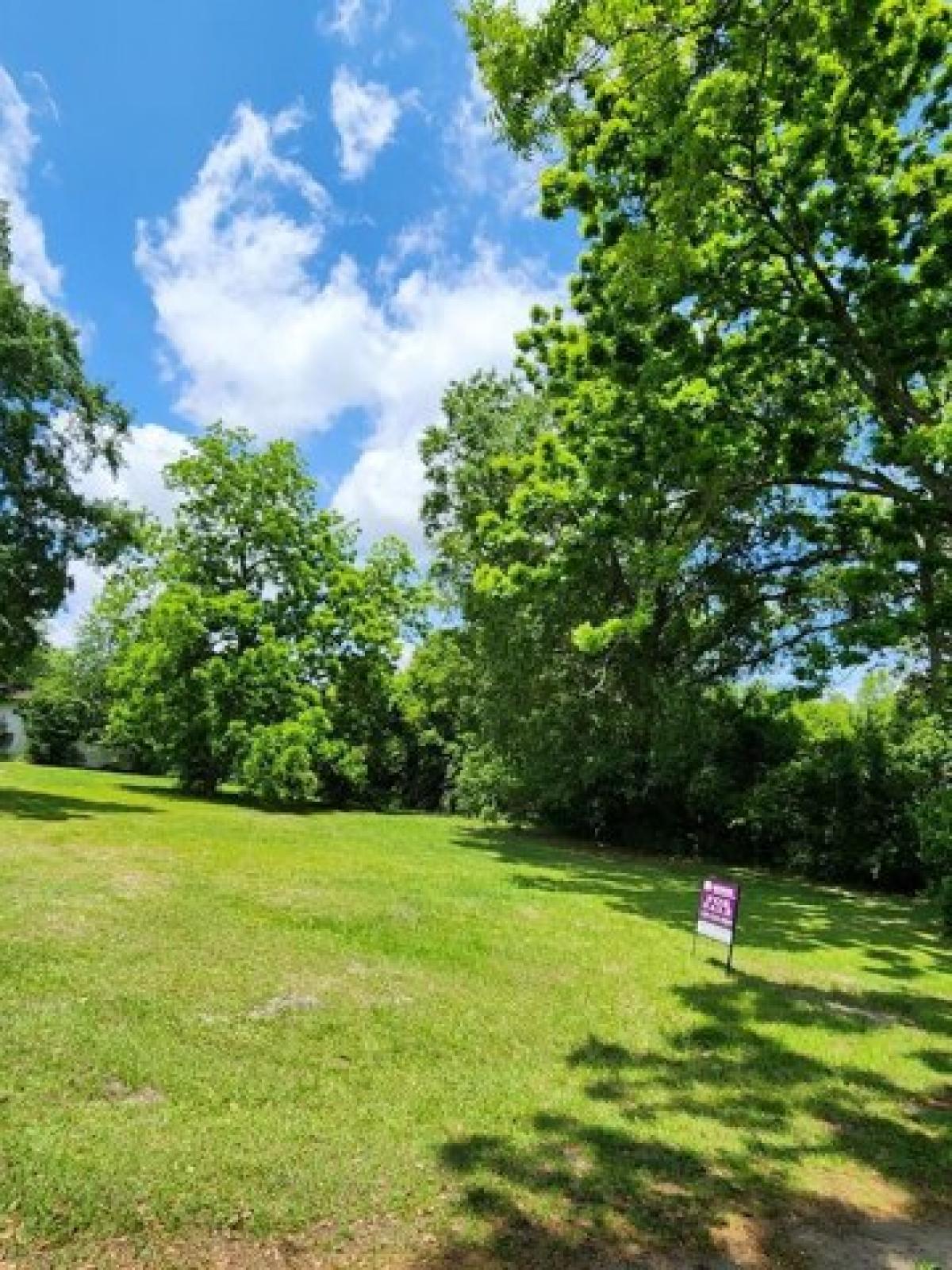 Picture of Residential Land For Sale in Pelham, Georgia, United States