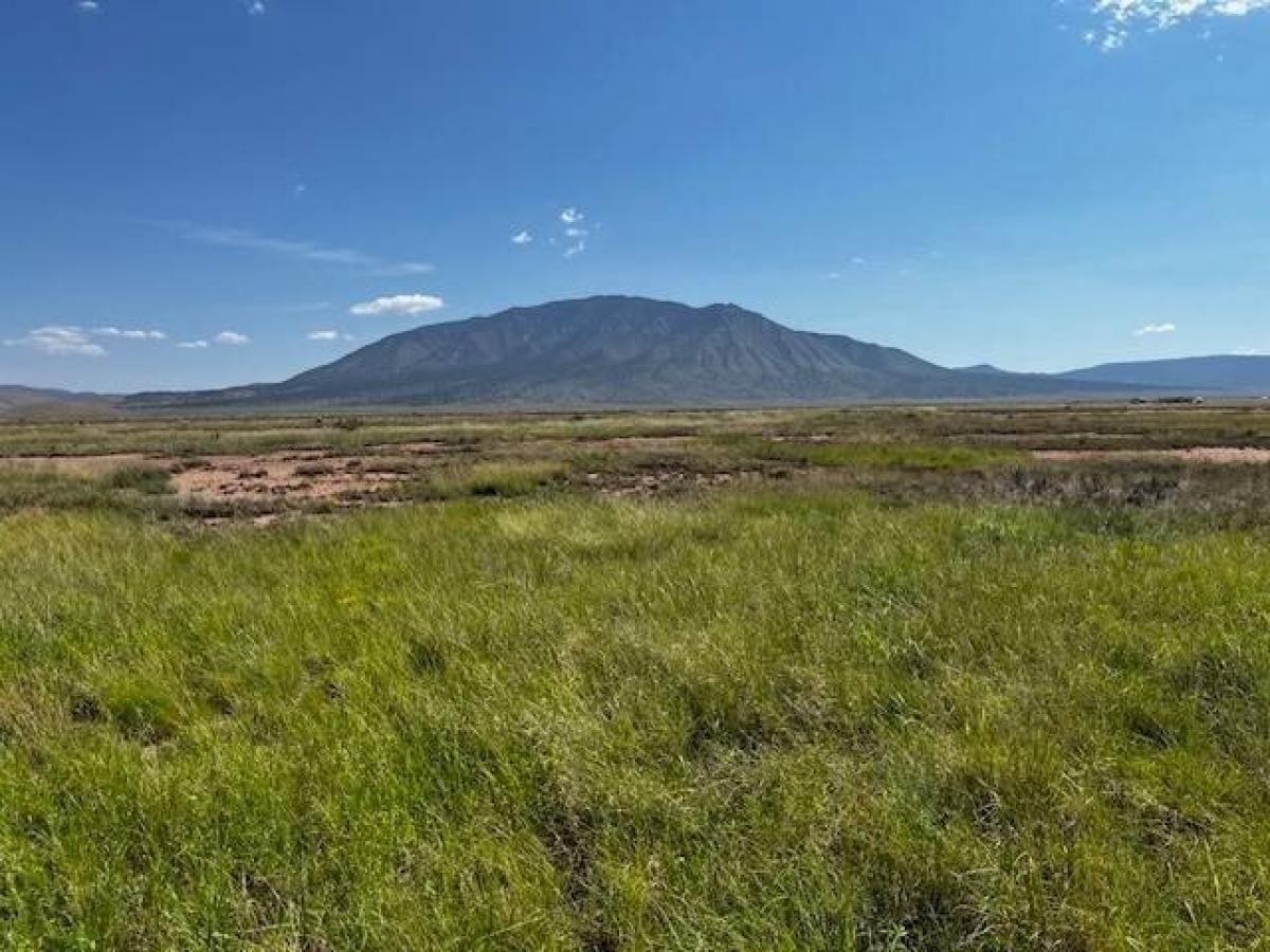 Picture of Residential Land For Sale in Carrizozo, New Mexico, United States