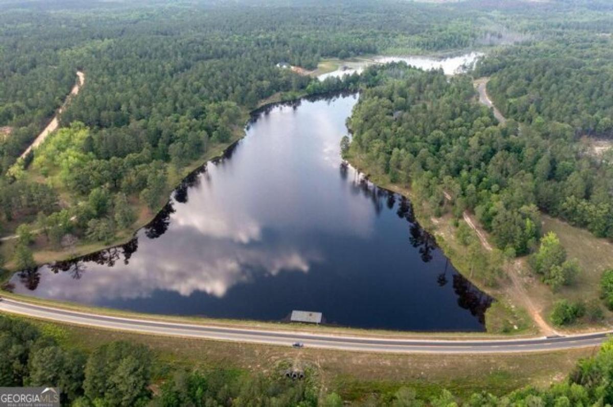 Picture of Residential Land For Sale in Butler, Georgia, United States