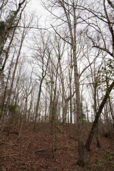 Residential Land For Sale in Carthage, Mississippi