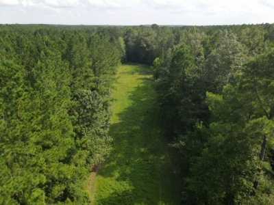 Residential Land For Sale in Mount Vernon, Georgia