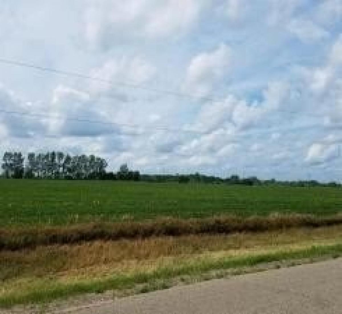 Picture of Residential Land For Sale in Alexandria, Minnesota, United States