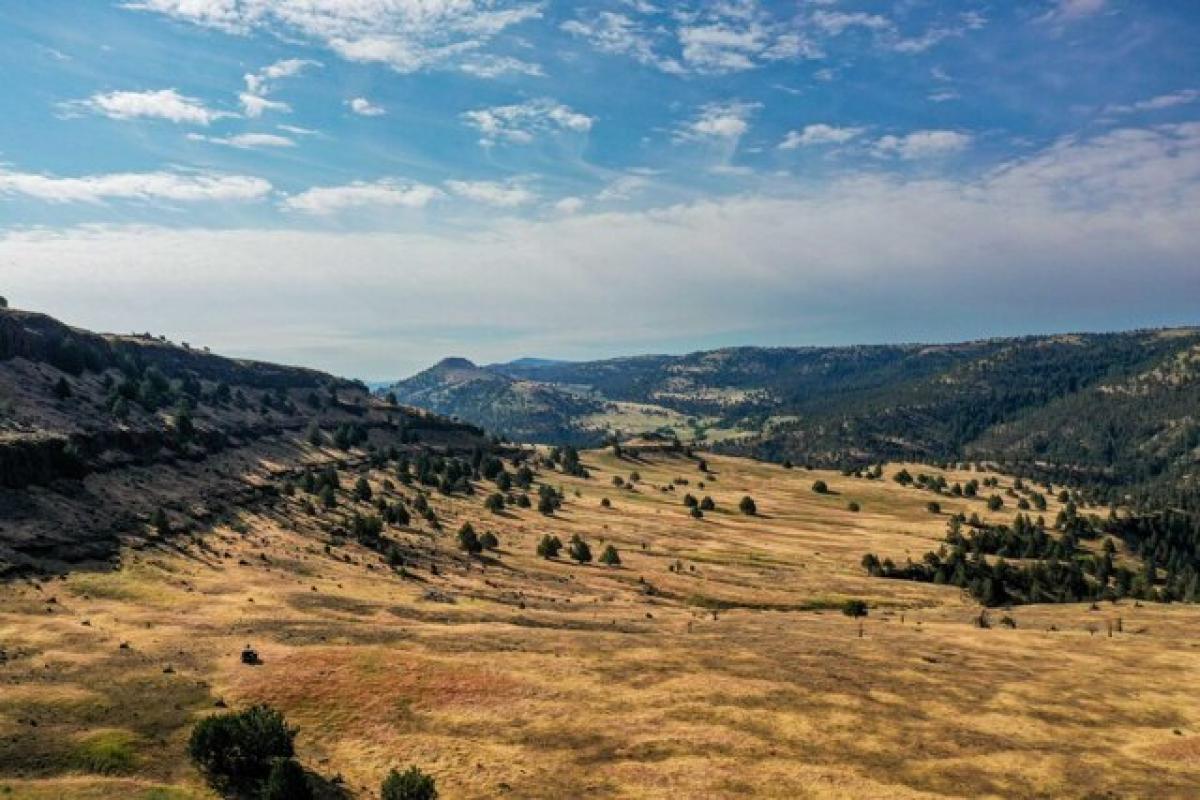 Picture of Residential Land For Sale in Long Creek, Oregon, United States