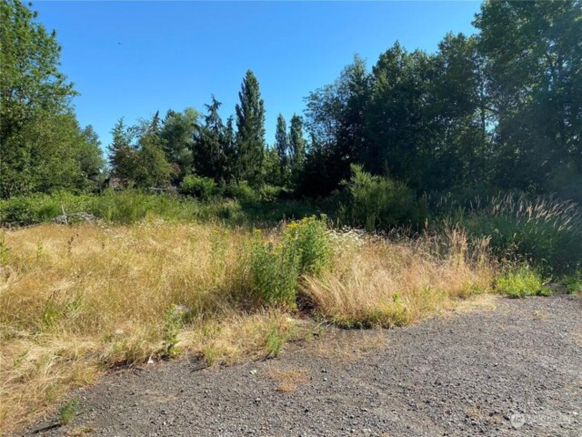 Picture of Residential Land For Sale in Tacoma, Washington, United States