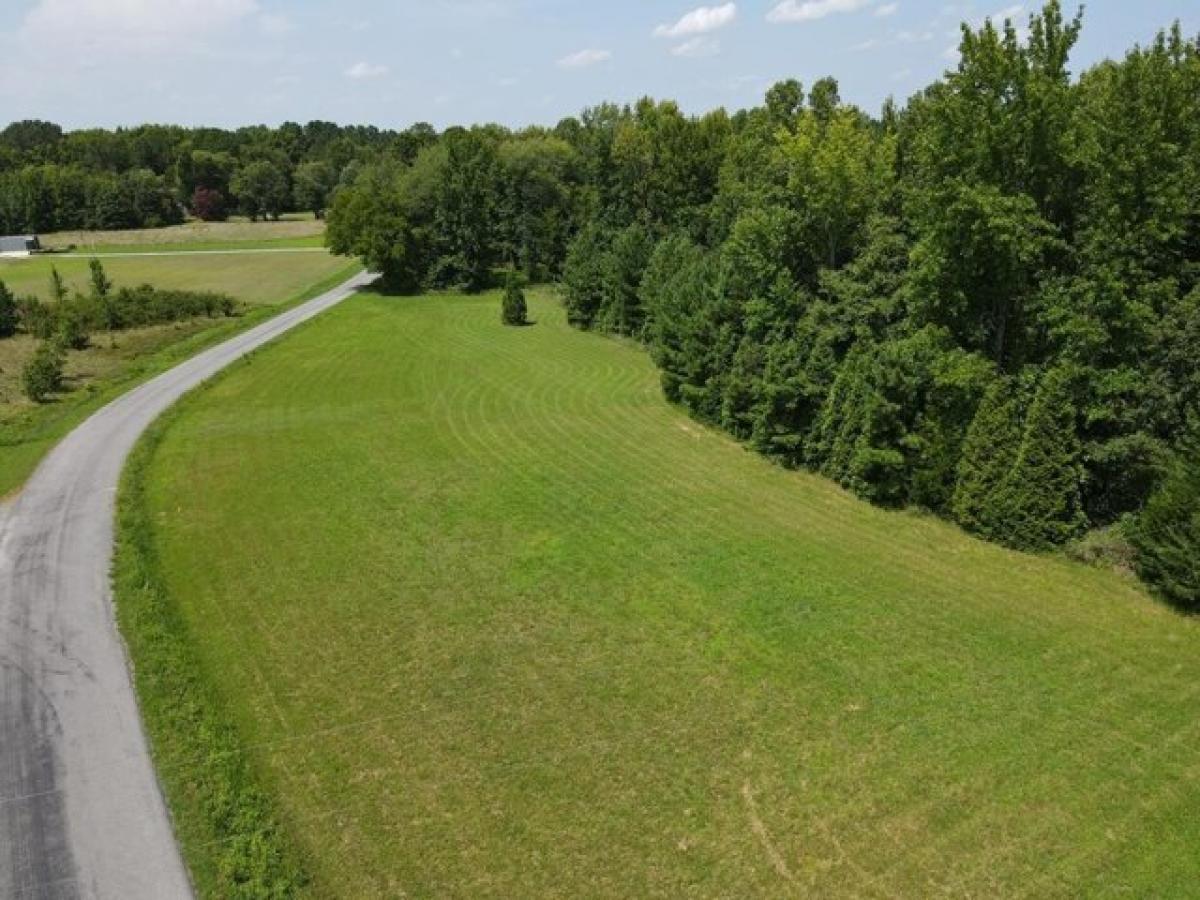 Picture of Residential Land For Sale in Buffalo Junction, Virginia, United States