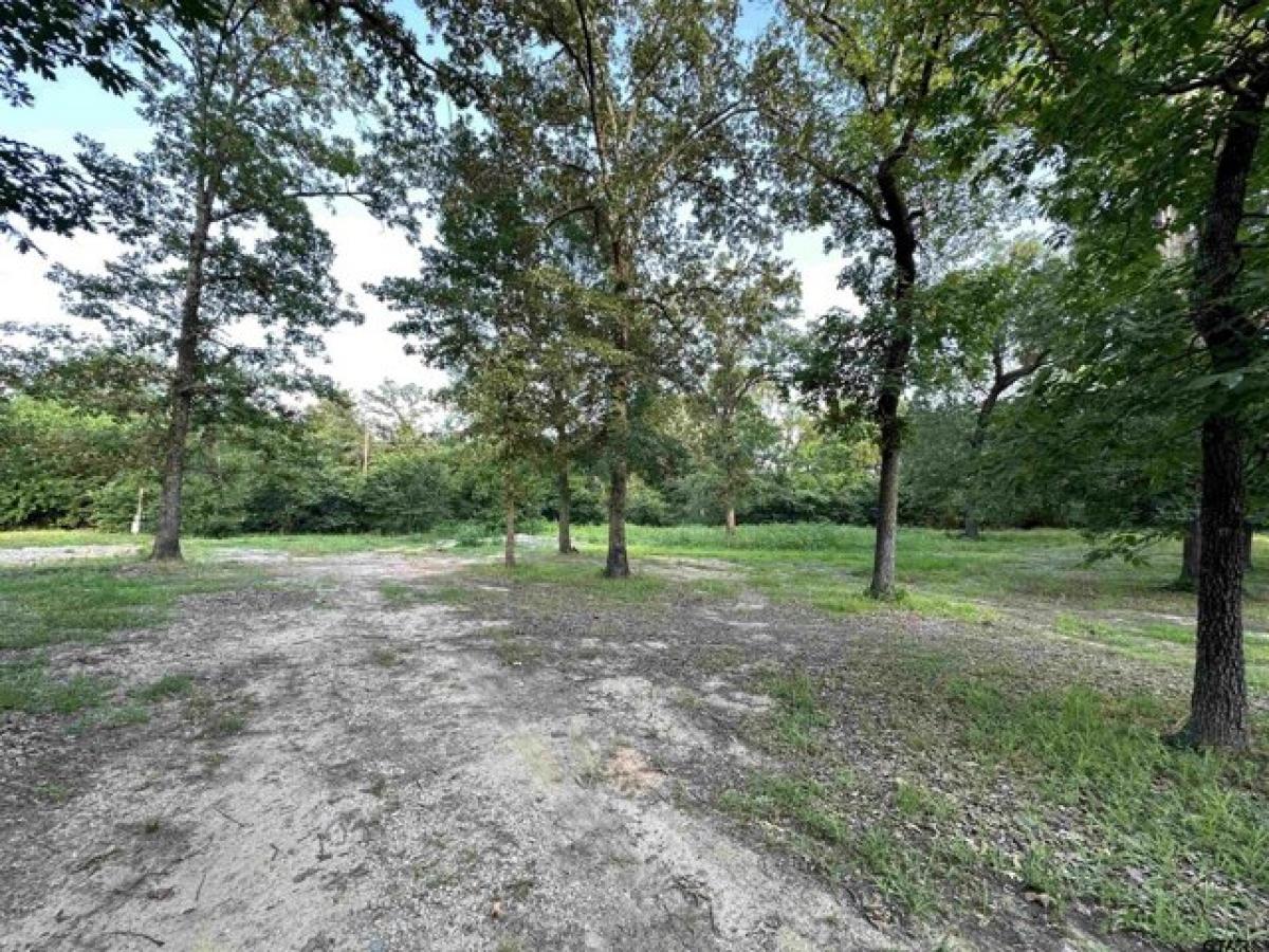 Picture of Residential Land For Sale in Dike, Texas, United States