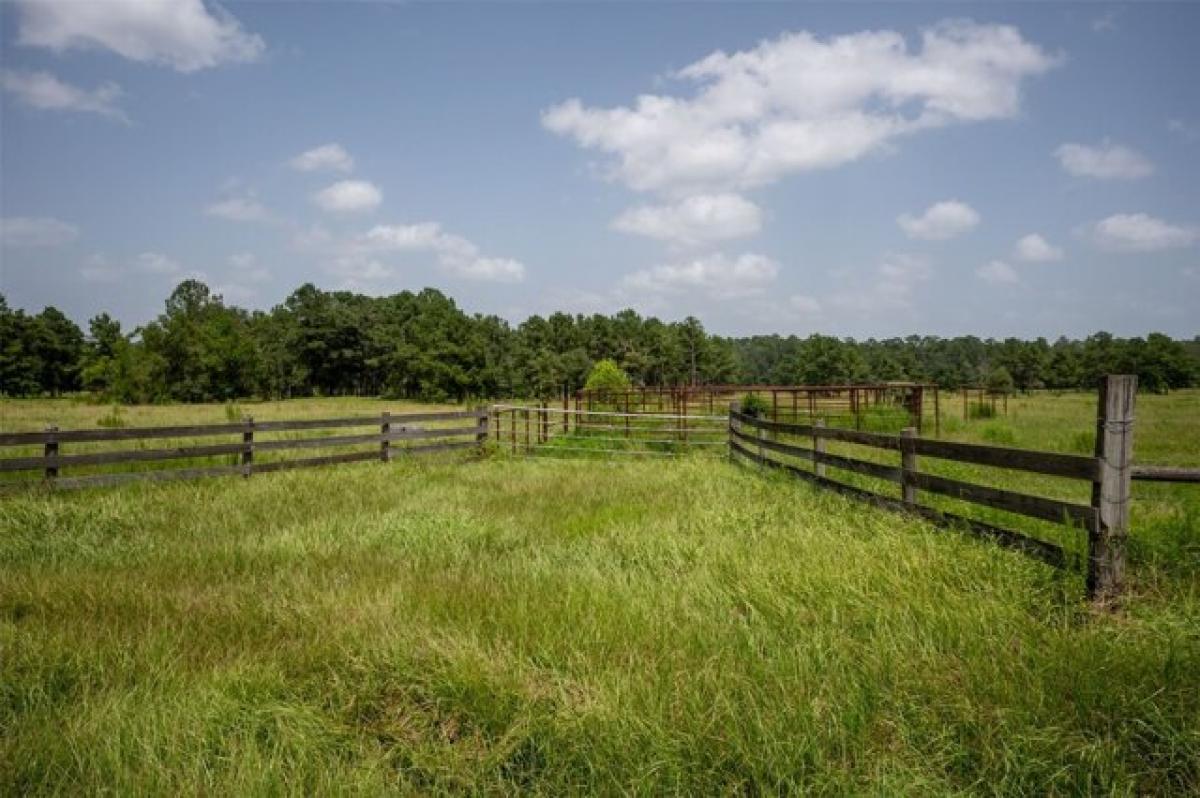 Picture of Residential Land For Sale in Warren, Texas, United States