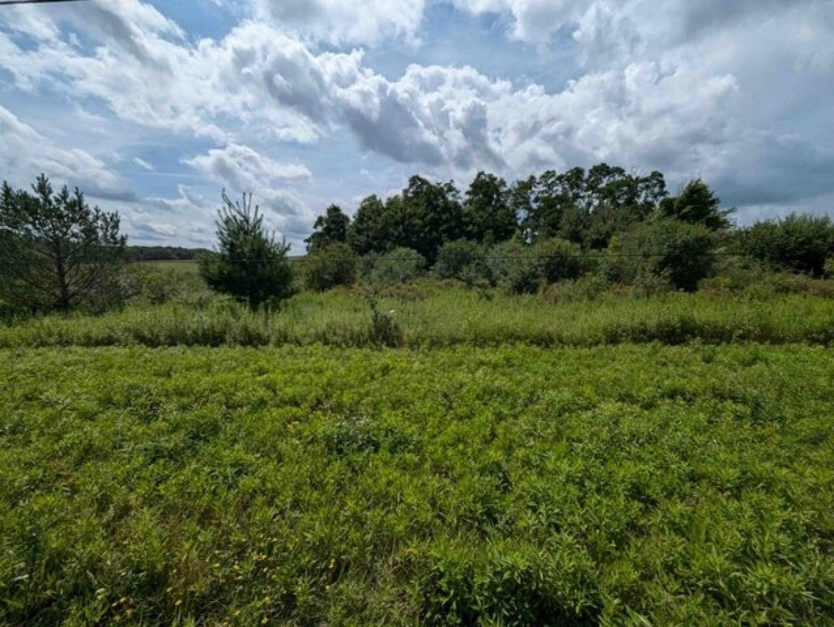 Picture of Residential Land For Sale in Cameron, New York, United States