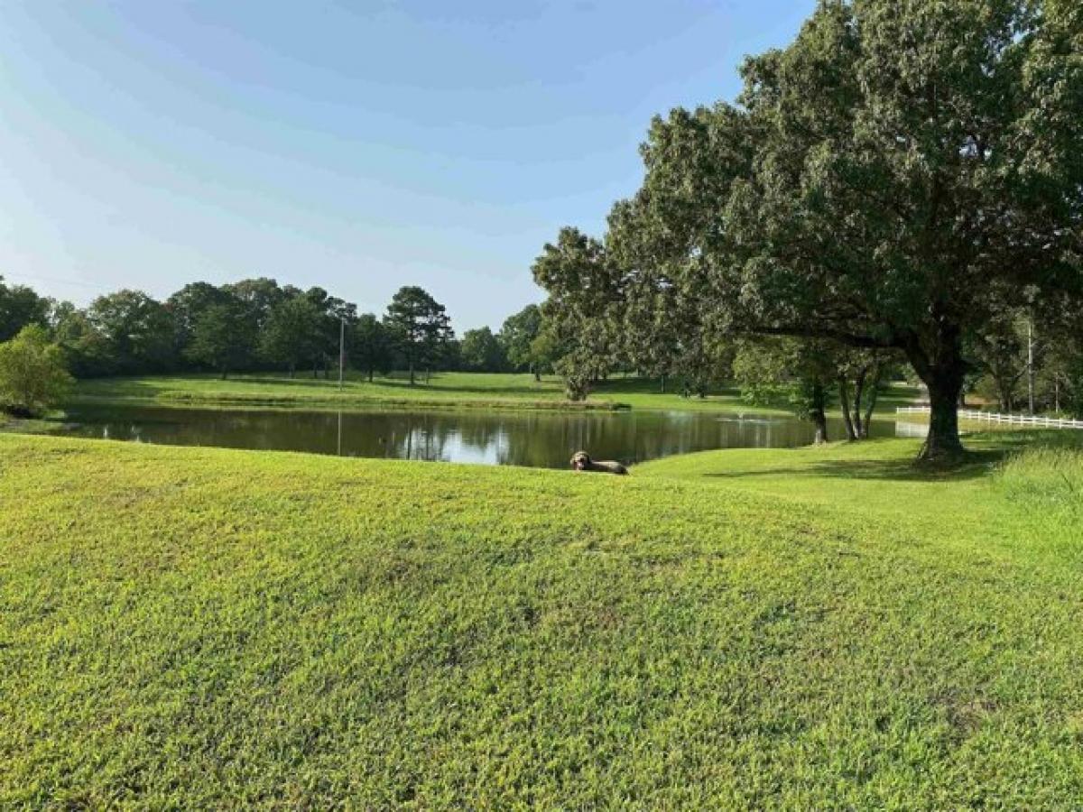 Picture of Home For Sale in Cove, Arkansas, United States