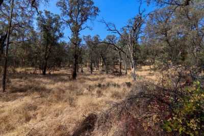 Residential Land For Sale in Browns Valley, California