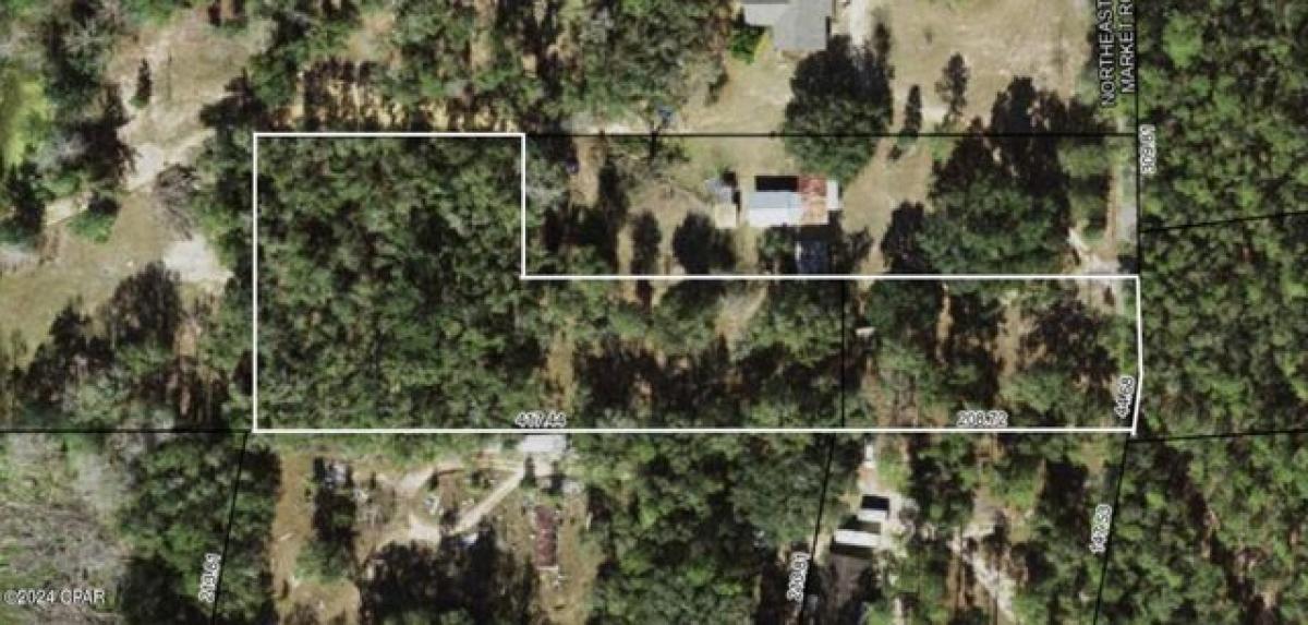 Picture of Residential Land For Sale in Hosford, Florida, United States