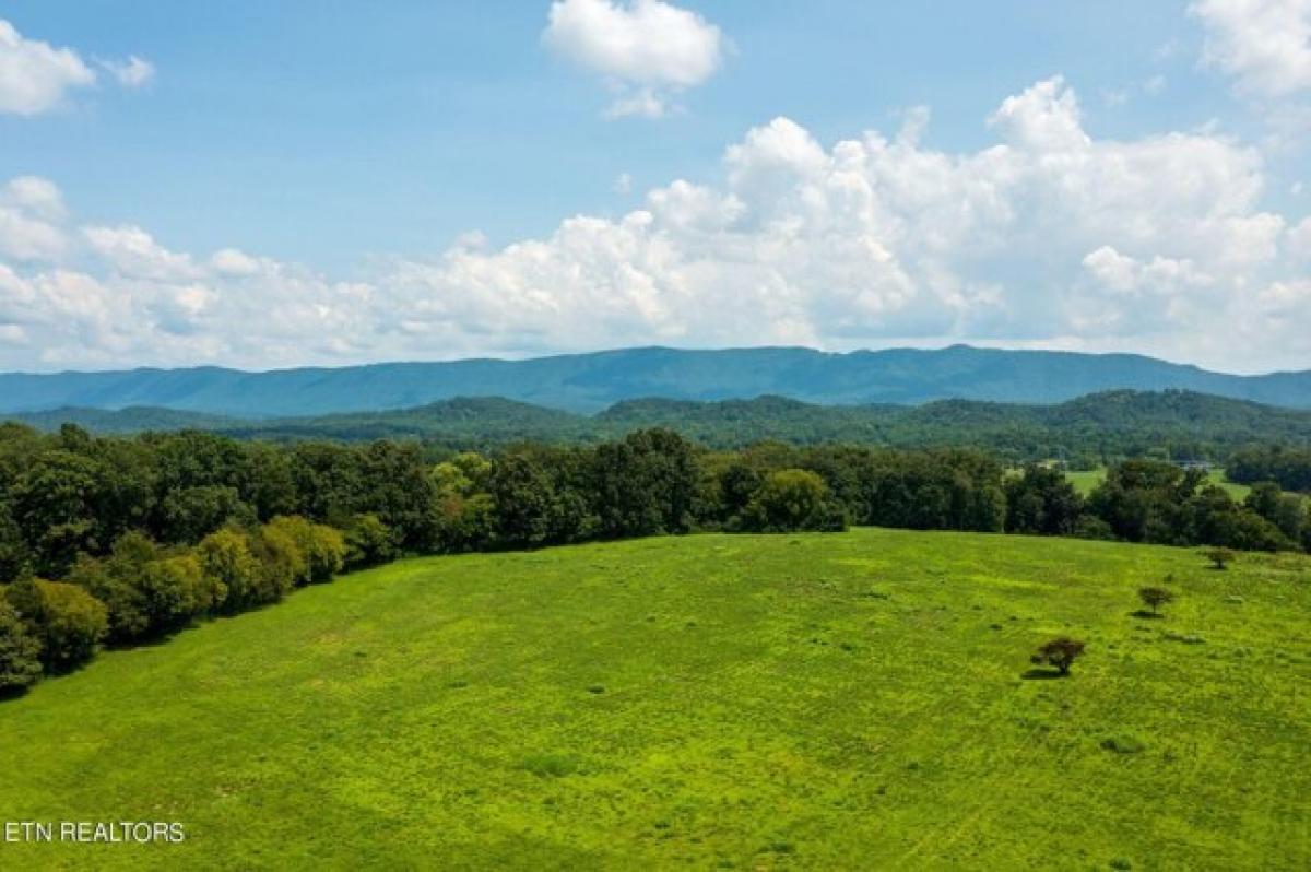 Picture of Residential Land For Sale in Maryville, Tennessee, United States