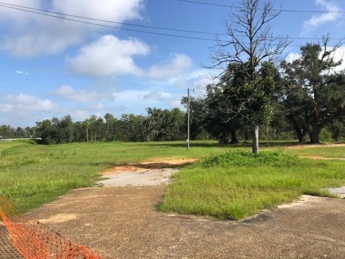 Picture of Residential Land For Sale in Wewahitchka, Florida, United States