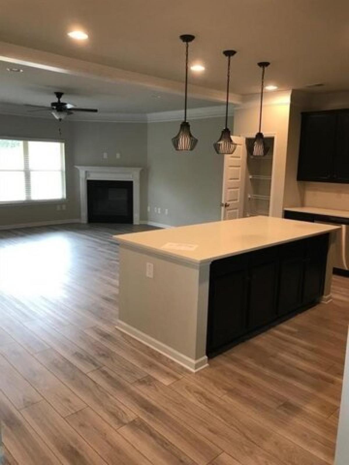 Picture of Home For Rent in Buford, Georgia, United States