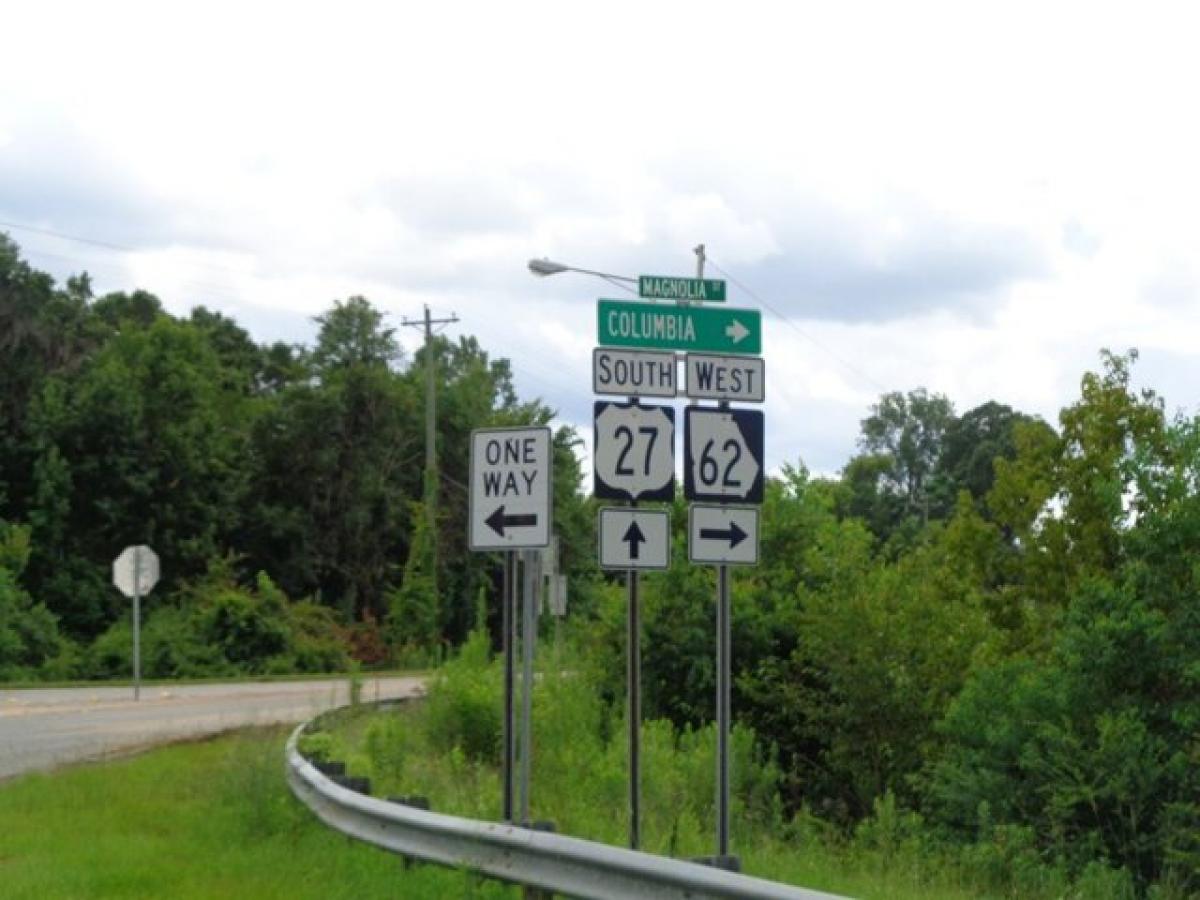 Picture of Residential Land For Sale in Blakely, Georgia, United States