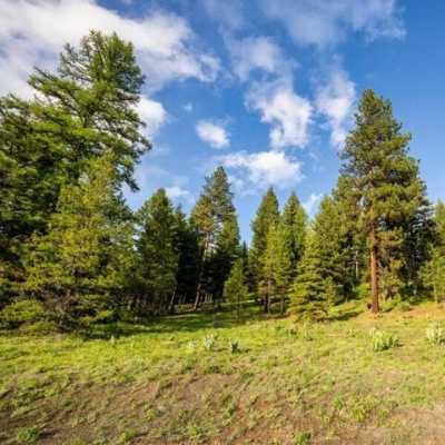 Residential Land For Sale in McCall, Idaho