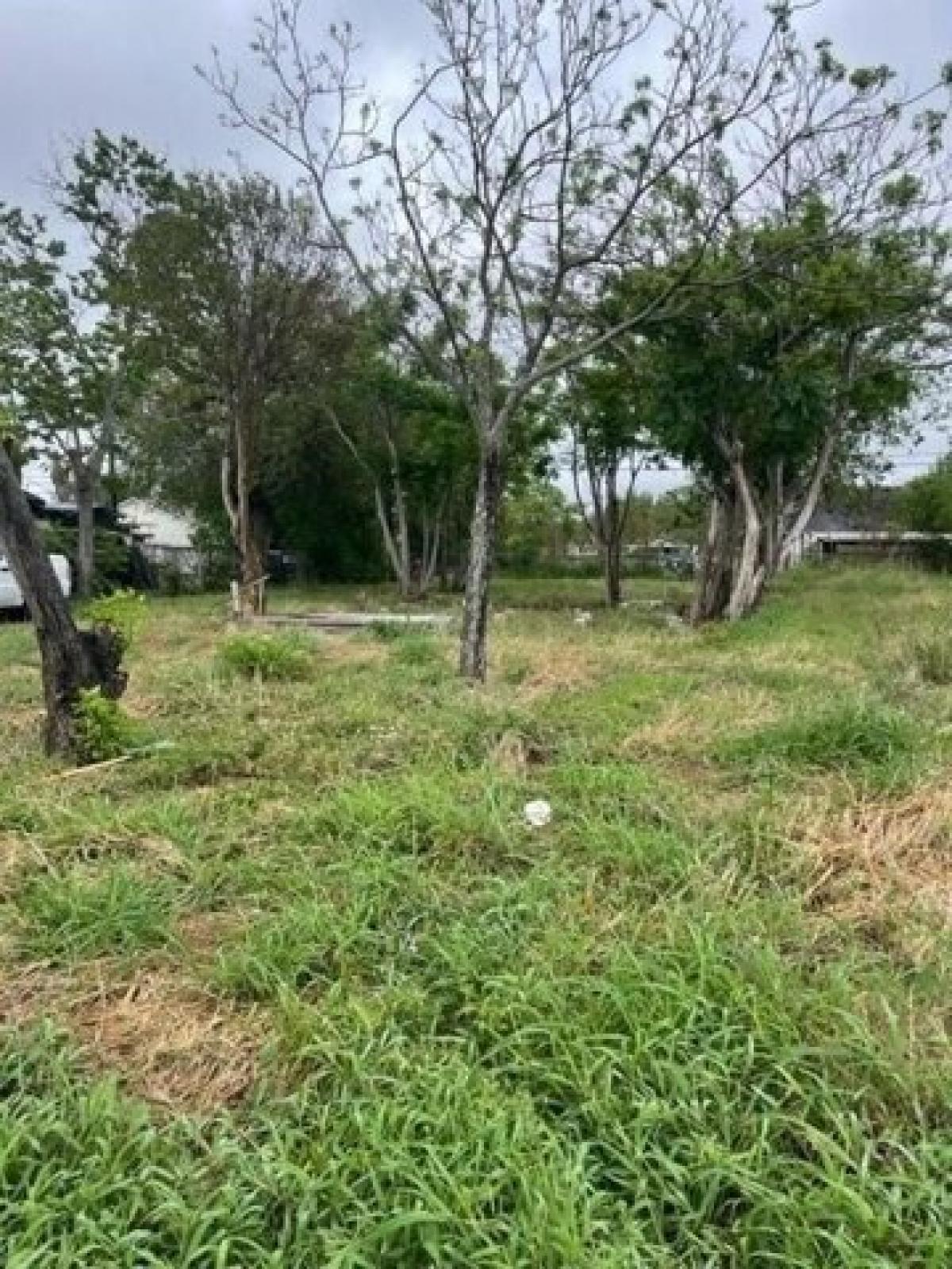 Picture of Residential Land For Sale in Corpus Christi, Texas, United States