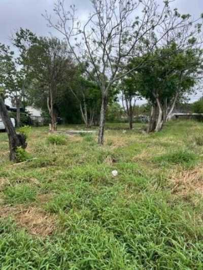 Residential Land For Sale in Corpus Christi, Texas