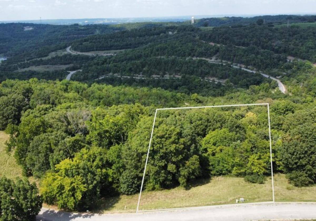 Picture of Residential Land For Sale in Hollister, Missouri, United States