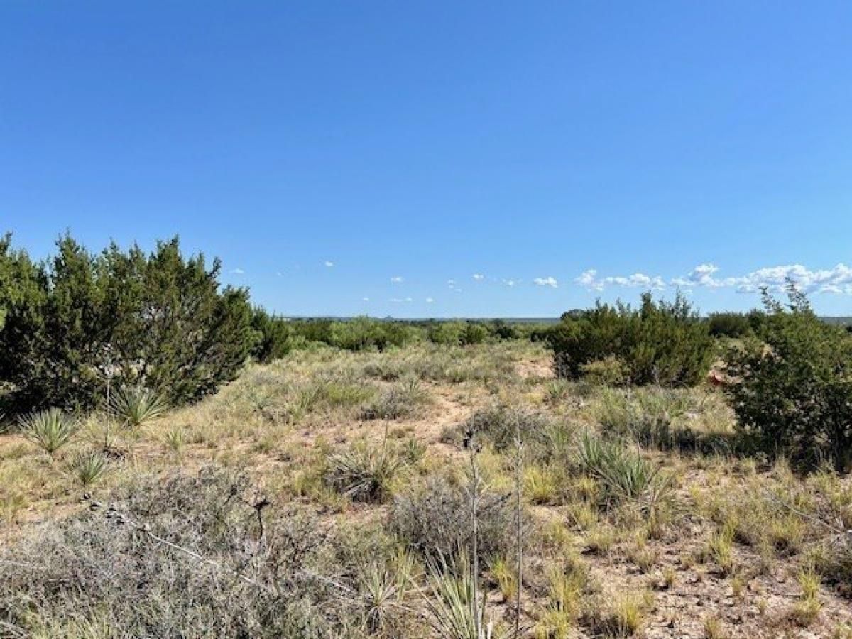 Picture of Residential Land For Sale in Wingate, Texas, United States