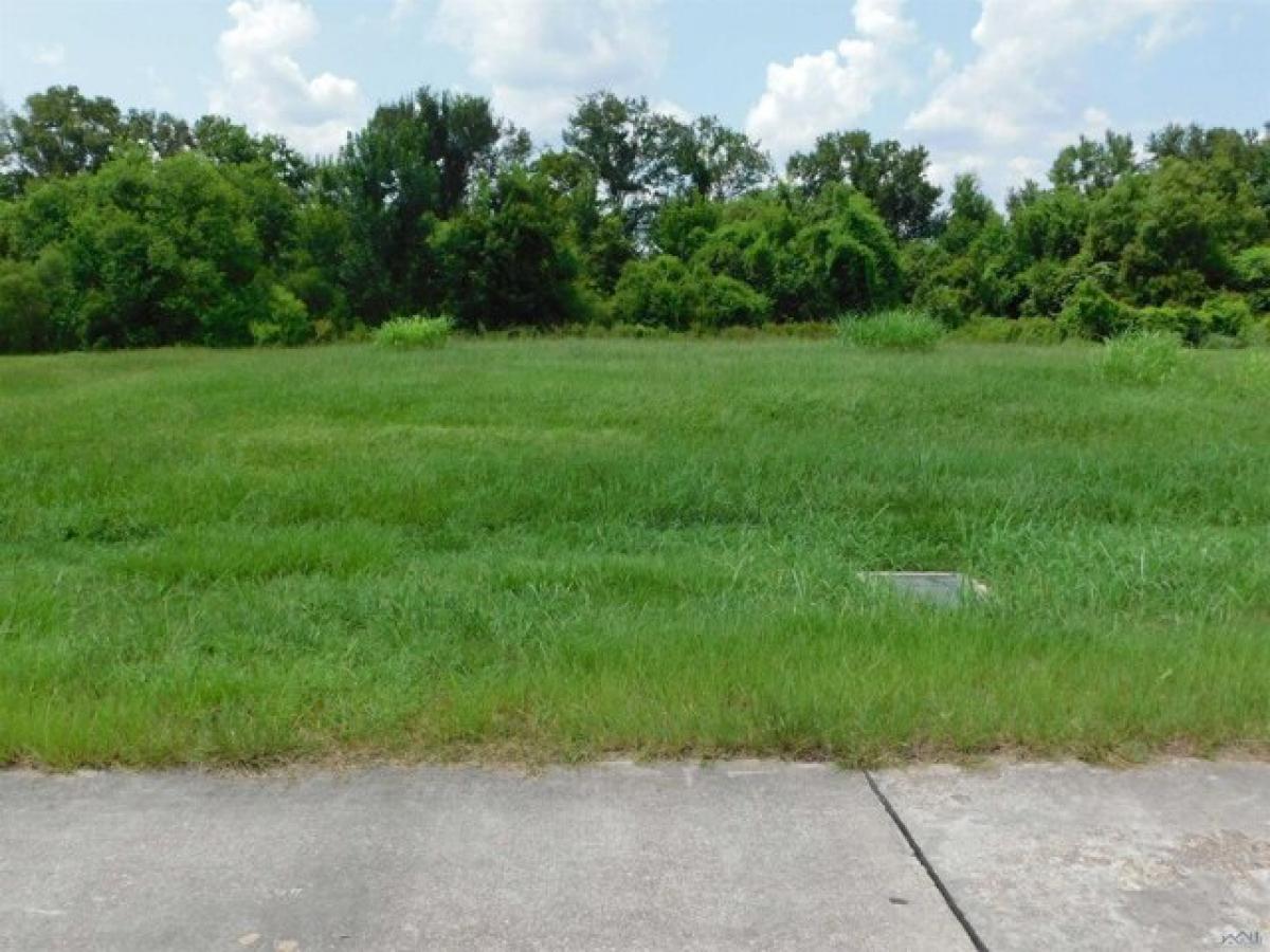 Picture of Residential Land For Sale in Cut Off, Louisiana, United States