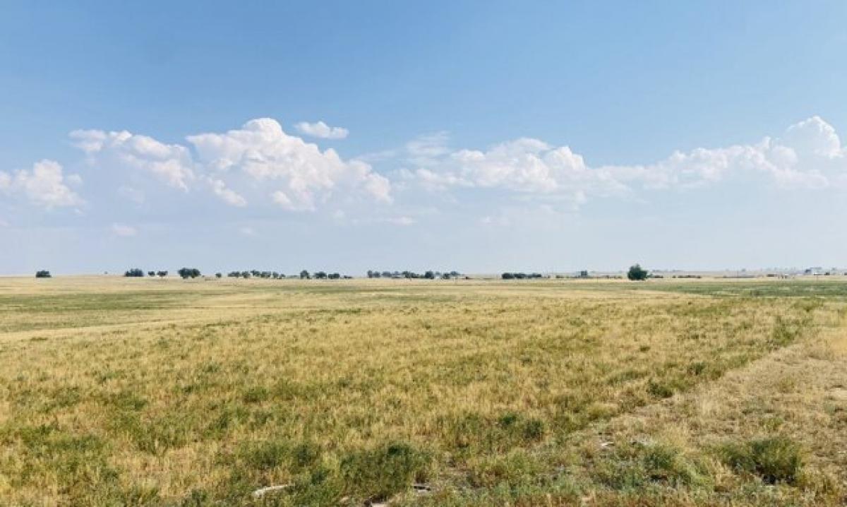 Picture of Residential Land For Sale in Platteville, Colorado, United States