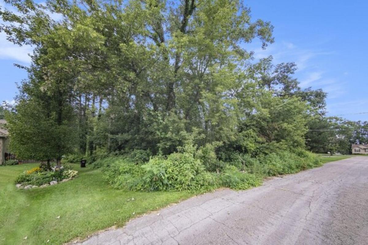 Picture of Residential Land For Sale in Pleasant Lake, Michigan, United States