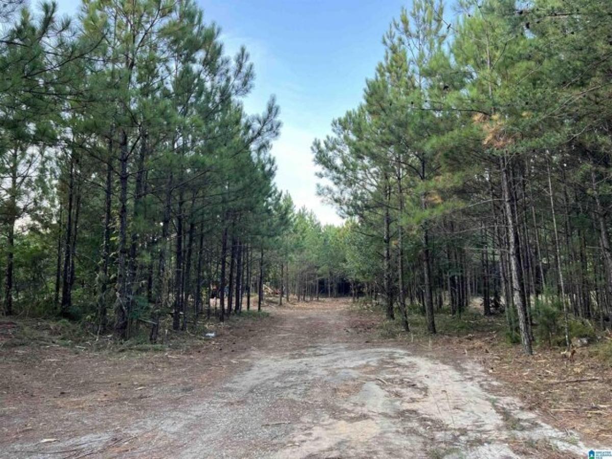 Picture of Residential Land For Sale in Clay, Alabama, United States