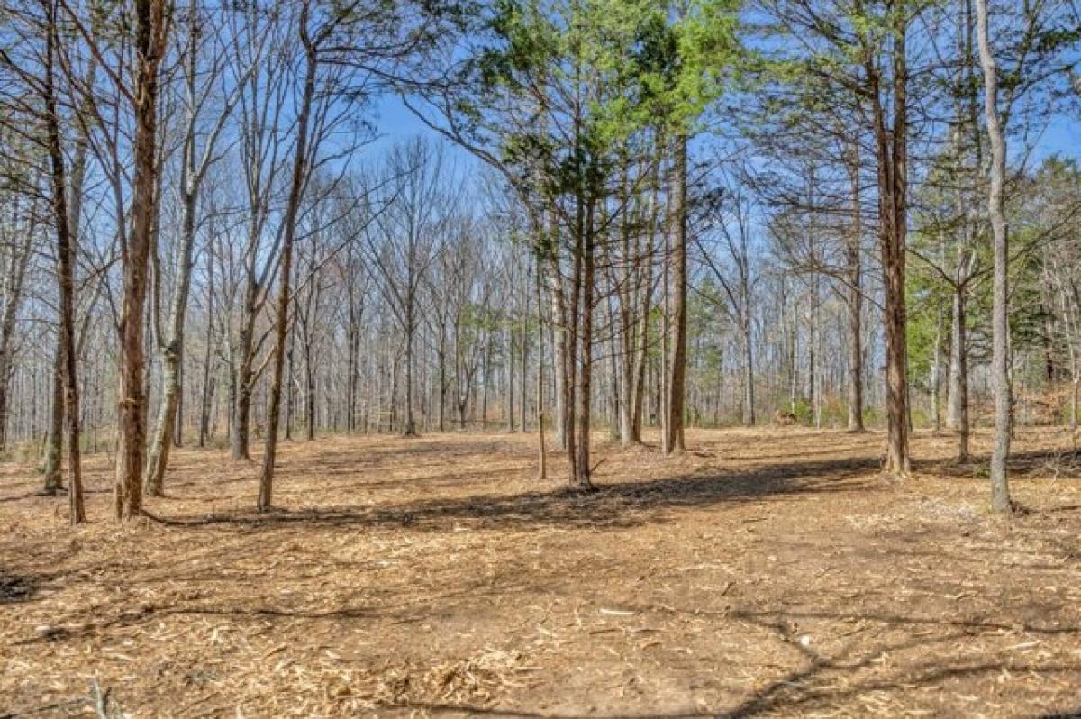 Picture of Residential Land For Sale in Franklin, Tennessee, United States