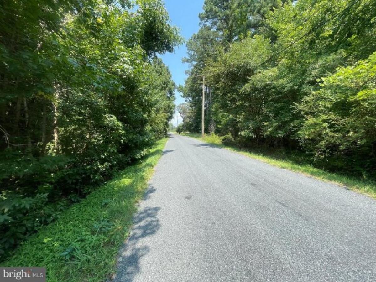 Picture of Residential Land For Sale in Tyaskin, Maryland, United States