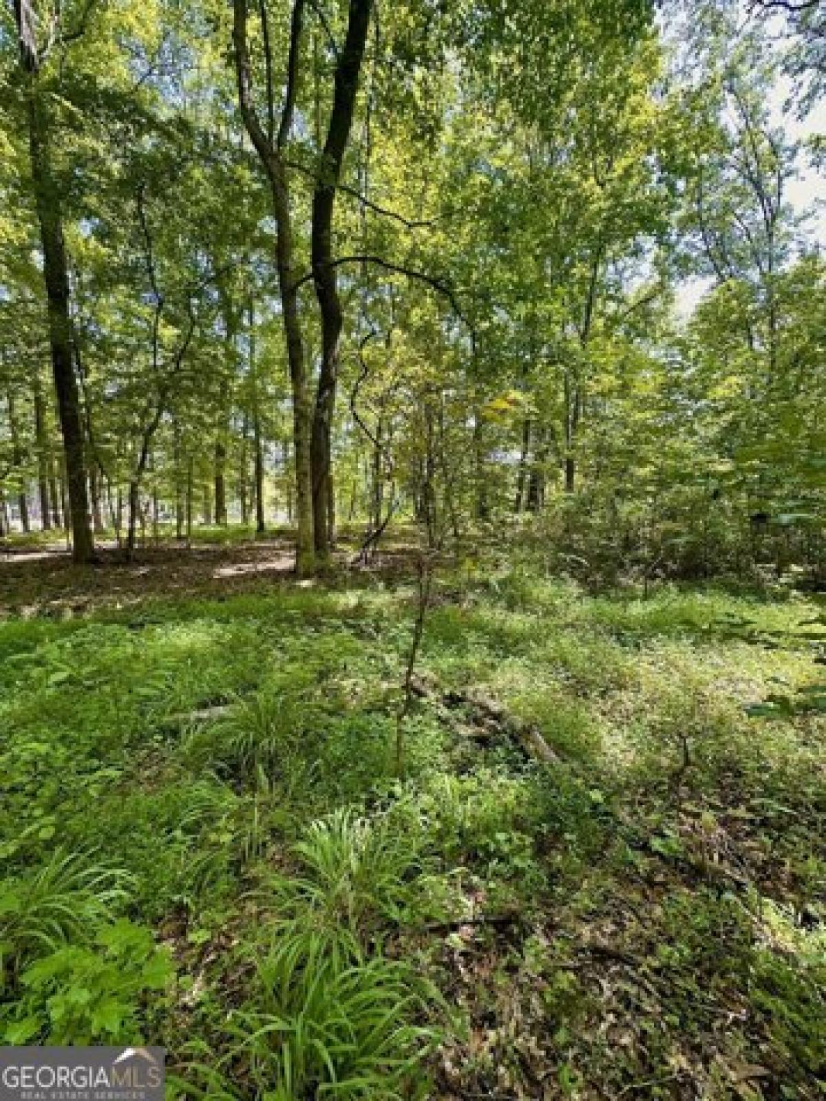 Picture of Residential Land For Sale in Buckhead, Georgia, United States