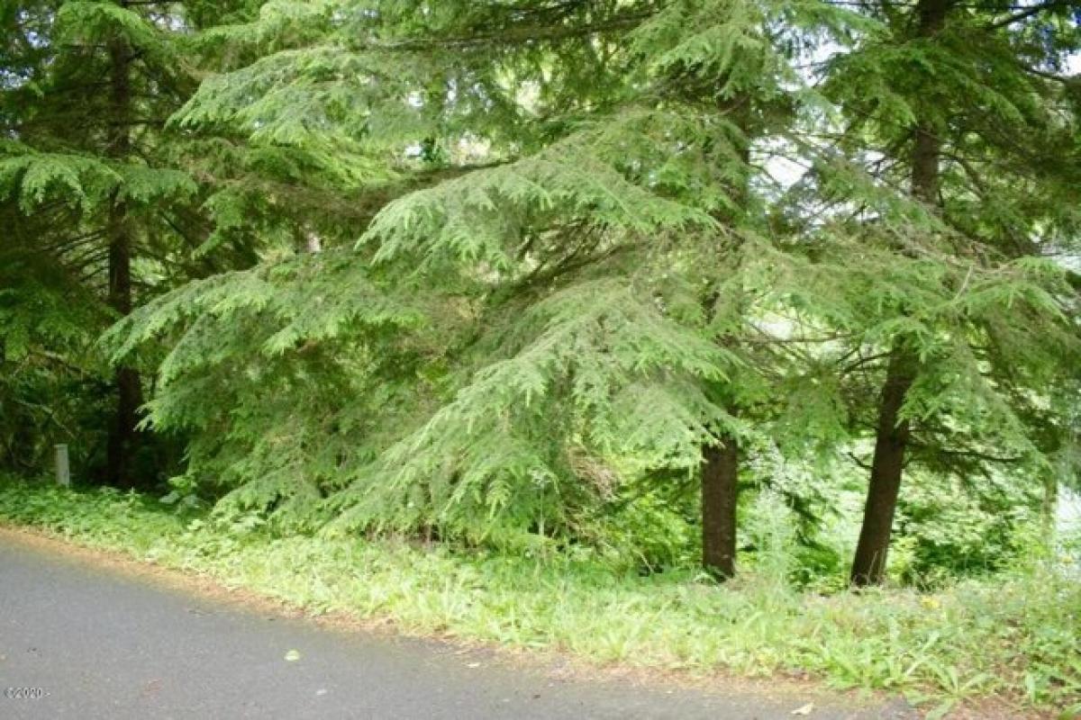 Picture of Residential Land For Sale in Lincoln City, Oregon, United States