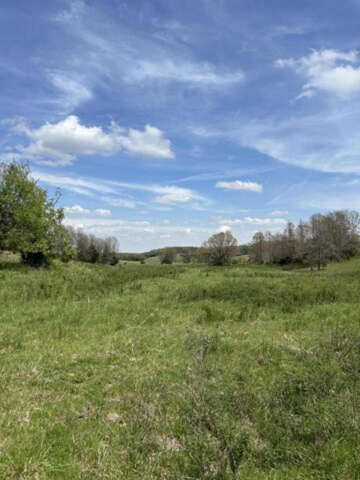 Picture of Residential Land For Sale in Grovespring, Missouri, United States