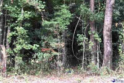 Residential Land For Sale in 