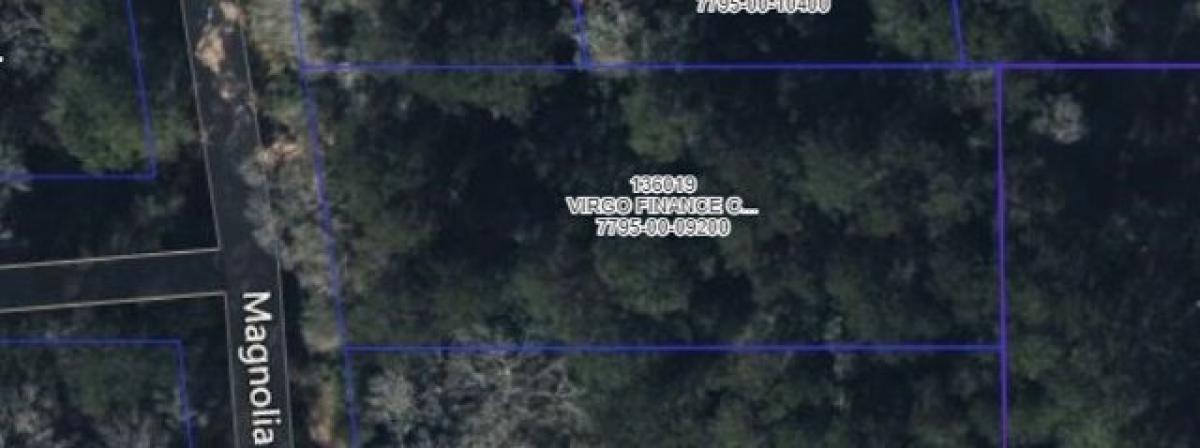 Picture of Residential Land For Sale in New Caney, Texas, United States