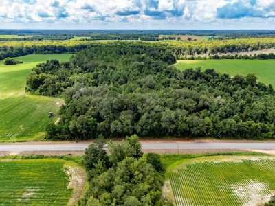 Residential Land For Sale in Cottonwood, Alabama