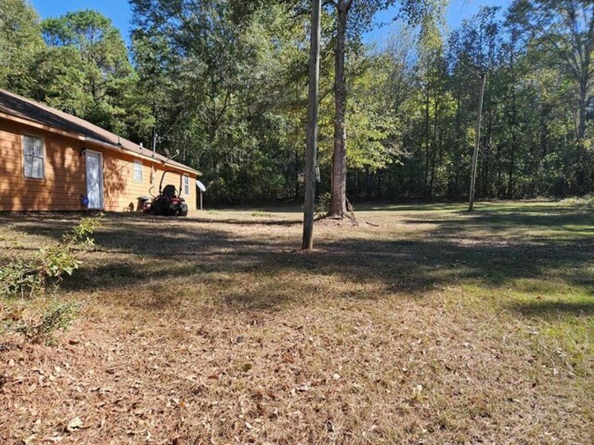 Picture of Home For Sale in Collins, Mississippi, United States